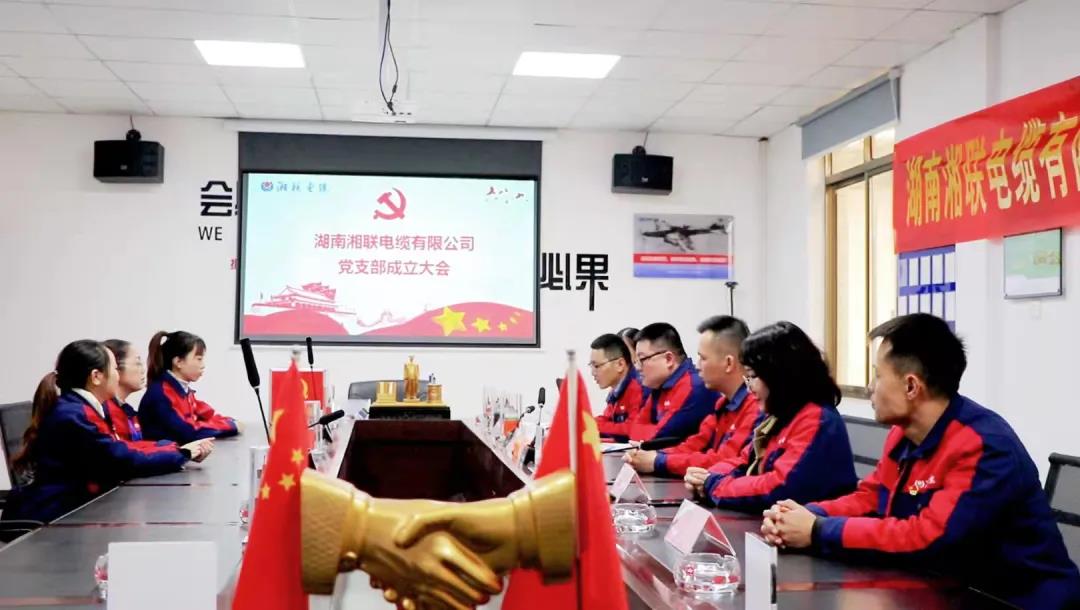 新征程 | 熱烈祝賀湖南湘聯(lián)電纜有限公司黨支部正式成立！