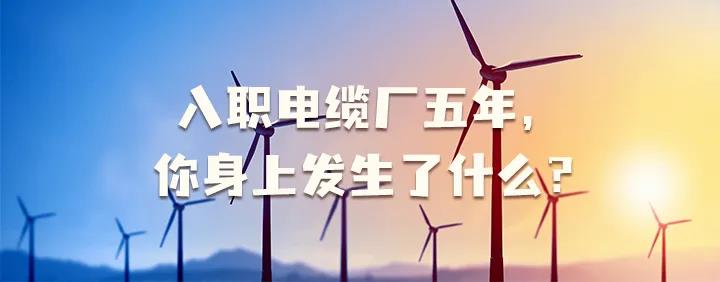 入職電纜廠五年，你身上發(fā)生了哪些變化~